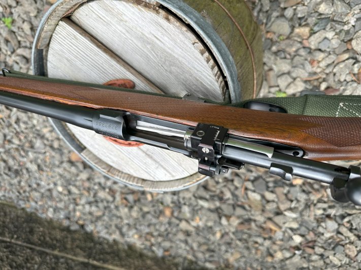 Springfield 1903 Reblue 