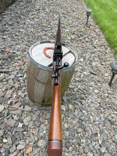 Springfield 1903 Reblue 