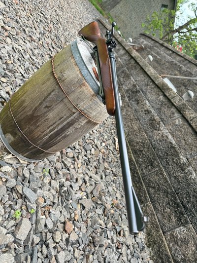 Springfield 1903 Reblue 