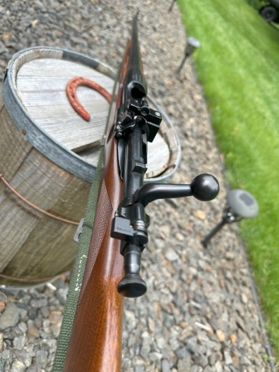 Springfield 1903 Reblue 