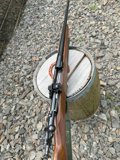 Springfield 1903 Reblue 