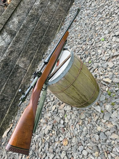 Springfield 1903 Reblue 