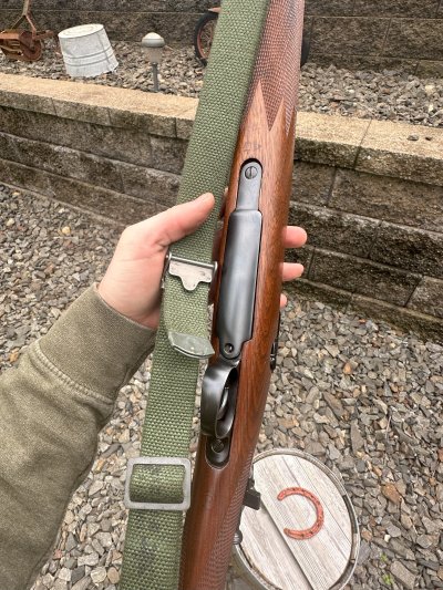 Springfield 1903 Reblue 
