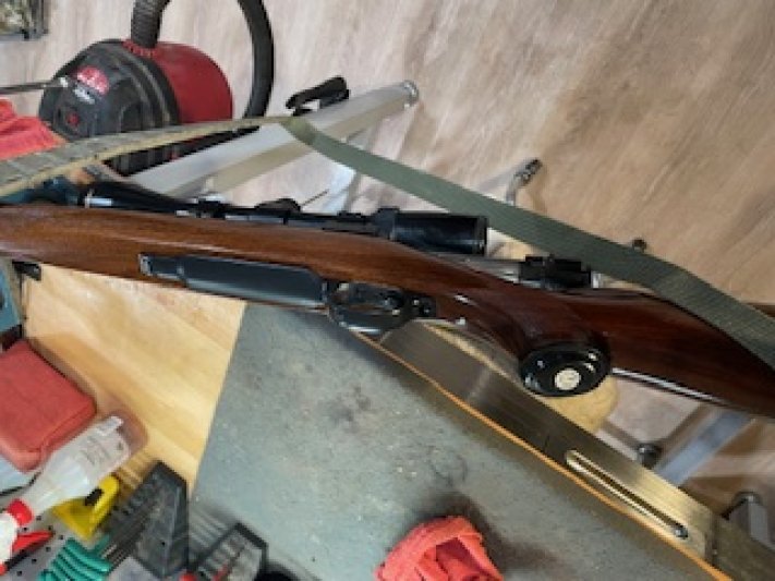 M77 Stock Refinishing 