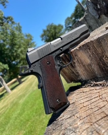Custom 1911 Grips 