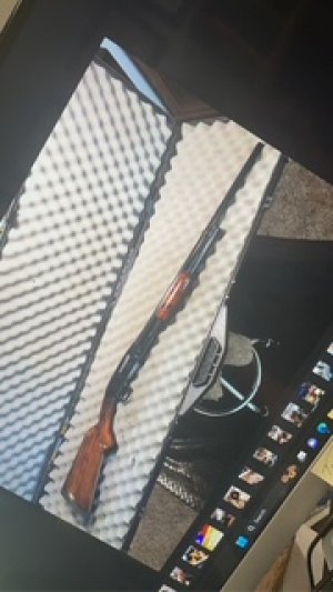 Winchester Model 12 Restocking and High Gloss Bluing