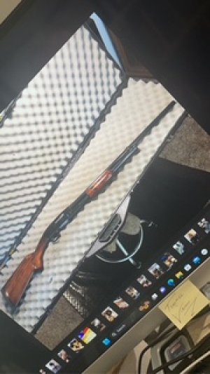 Winchester Model 12 Restocking and High Gloss Bluing 