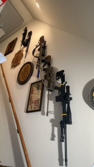 Check Out Our Shop! 