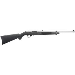 Ruger 10/22 Stainless
