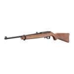Ruger 10/22 250th Anniversary