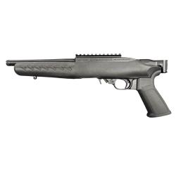 Ruger 22 Charger 8