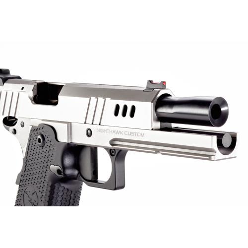 Nighthawk Custom BDS9 9mm with Competition Magwell Upgrade Includes Trijicon SRO IOS Plate