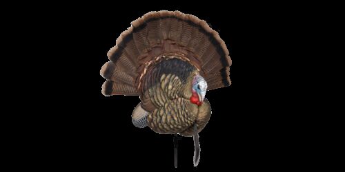 Avian X AVXAVX8021 Trophy Tom  Turkey Species Multi-Color *No Fan