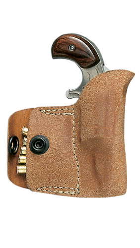 NAA HPT-L HLST 22LR LTHR
