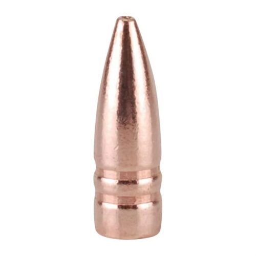BARNES TRIPLE SHOCK X 7.62X39MM (0.310'') BULLETS