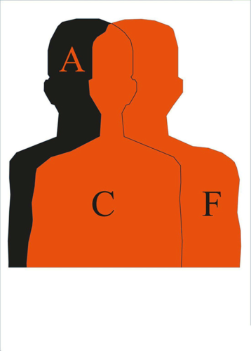 ATI BASIC SILHOUETTE TARGET