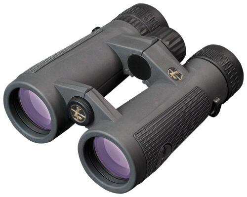 Leupold 175854 BX-5 Santiam HD 10x50mm Roof Prism Shadow Gray Arm