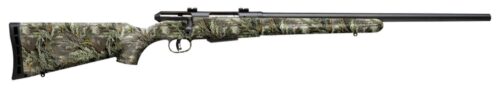 Savage Arms 19979 25 Walking Varminter 22 Hornet Caliber with 4+1