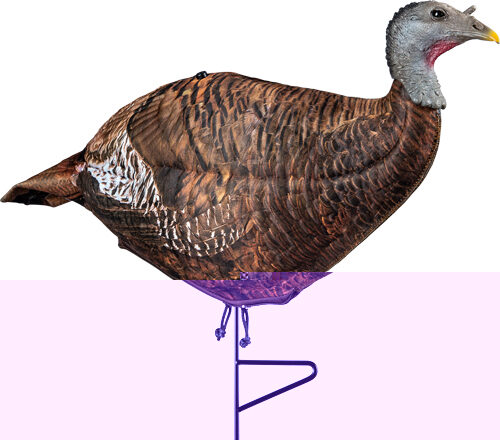 Primos 69070 Photoform Leading Hen Turkey, Lightweight/Flexible/C
