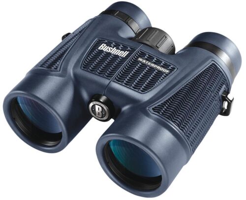 Bushnell H20 Binocular 10x42mm Roof Black