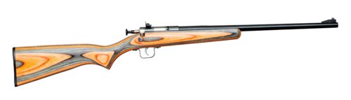 Crickett KSA2231 Youth  22 LR 1rd 16.12 Blued Barrel & Receiver,