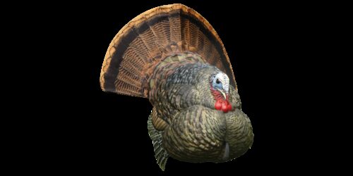 Avian X AVXAVX8004 LCD Strutter Turkey Species Multi Color Dura-R