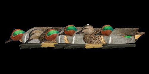 Avian X AVX-AVX8081 Topflight  Teal Species Multi-Color