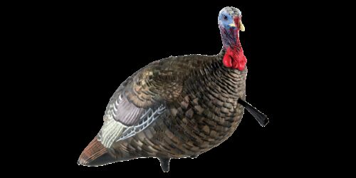 Avian X AVXAVX8003 LCD Quarter-Strut Jake Turkey Species Multi Co