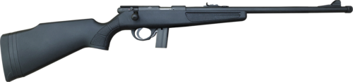 CMPT BOLT ACTN 22LR BL/SY 18