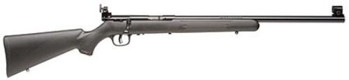Savage Arms 28900 Mark I FVT 22 Short, 22 Long or 22 LR Caliber w