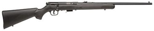 Savage Arms 26702 Mark II F 17 HM2 Caliber with 10+1 Capacity, 21