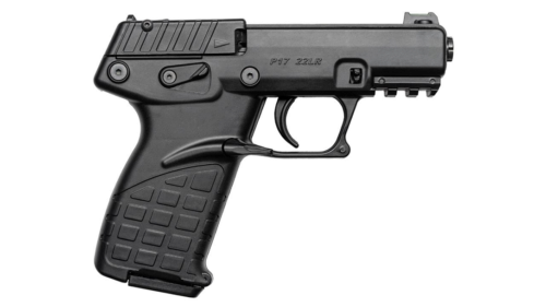 Kel-Tec P17BBLKRD P17  Compact Frame 22 LR 16+1 3.80 Black Steel