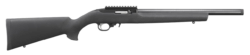10/22 CARB 22LR HVY BBL/HOGUE