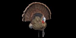 Avian X AVXAVX8021 Trophy Tom  Turkey Species Multi-Color *No Fan