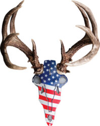 American Iron Buck