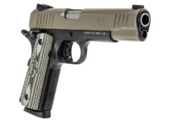1911FS 45ACP SAND 5 8+1 AS