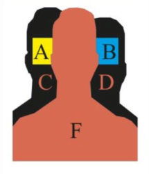 ATI ADVANCE SILHOUETTE TARGET