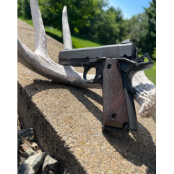 Frame & Trigger Servicing Work