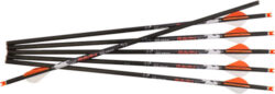 Ravin Premium Arrows (match weight) 500 grain HD .001 6PK