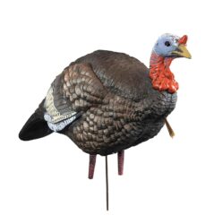 Higdon Outdoors 63144 Hard Body 1/4 Strut Jake Turkey Species Mul