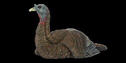 Avian X AVXAVX8011 LCD Laydown Hen Turkey Species Multi Color Dur