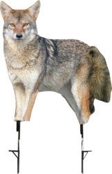 Montana Decoy Co Song Dog Coyote Decoy