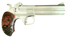 Bond Arms BAPA Patriot45 Colt (LC)/410 Gauge 2 Round 3 Stainless