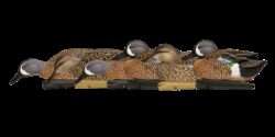 Avian X AVX-AVX8080 Topflight  Teal Species Multi-Color