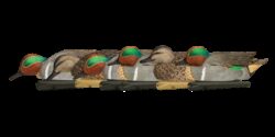 Avian X AVX-AVX8081 Topflight  Teal Species Multi-Color
