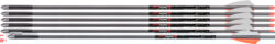 Axe Crossbows AX10003 Axe 440 Axe Bolts Gray/Orange/White 19 6 Pe