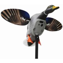 Mojo Outdoors HW2520 Elite Series King Mallard Multi Color Plasti