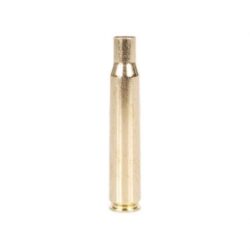 30-06 SPRINGFIELD BRASS CASE