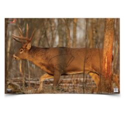 Birchwood Casey 37481 EZE-Scorer  Whitetail Deer Paper Hanging 23