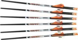Ravin Crossbows R139 Arrows  400GR .001 6 Pack